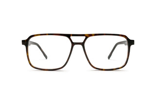 7110103180 Tortoise image-1