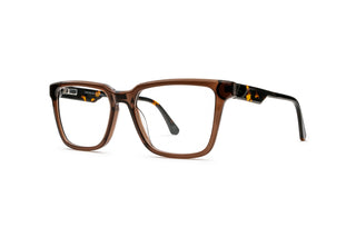 7110103400 Tortoise image-3