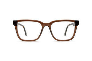 7110103400 Tortoise image-1