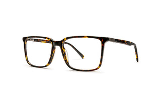 7780401570 Tortoise image-3