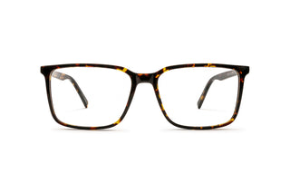 7780401570 Tortoise image-1
