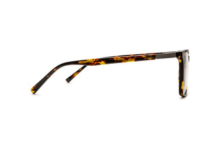 7780401570 Tortoise image-2