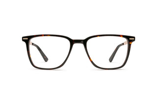 7780401610 Tortoise/Gold image-1