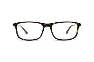 7780401740 Tortoise/Gold image-1
