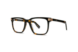 7780402170 Tortoise image-3