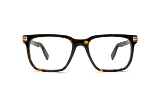 7780402170 Tortoise image-1