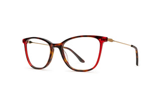 7880202710 Tortoise/Gold/Red image-3
