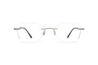 7880202900 Gold image-1