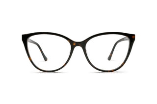7880203630 Tortoise image-1