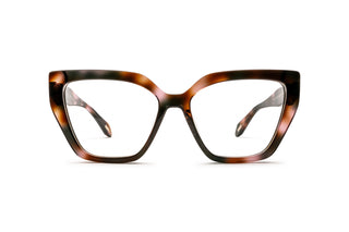 8020100560 Tortoise image-1