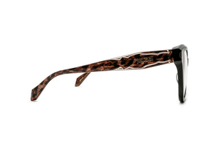 8020100570 Tortoise image-2