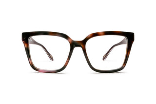 8020100620 Tortoise/Brown image-1