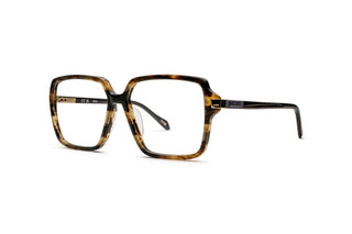 8020100670 Tortoise image-3