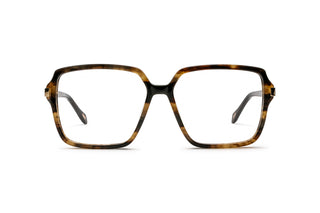 8020100670 Tortoise image-1