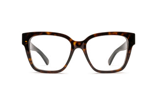 8060109470 Tortoise image-1