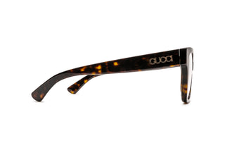 8060109470 Tortoise image-2