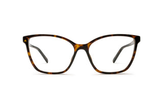 8060110540 Tortoise image-1