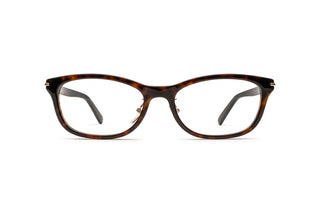 8060110830 Tortoise image-1