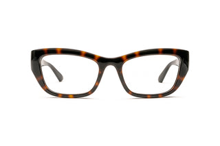8060111200 Tortoise image-1