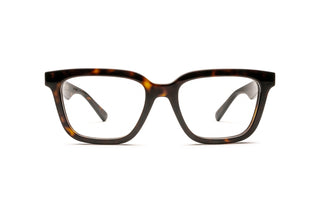 8060111250 Tortoise image-1