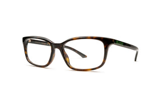 8060111380 Tortoise image-3