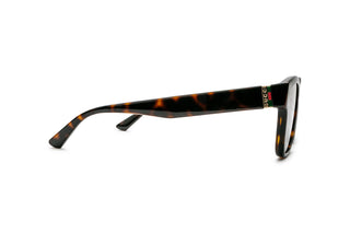 8060111580 Tortoise image-2
