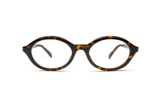 8060111680 Tortoise image-1