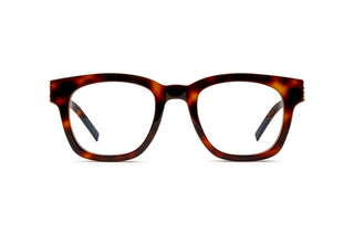 8100002490 Tortoise image-1