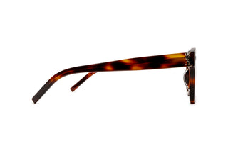 8100002490 Tortoise image-2