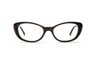 8100004020 Tortoise image-1