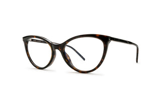 8100004040 Tortoise image-3