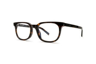 8100004100 Tortoise image-3