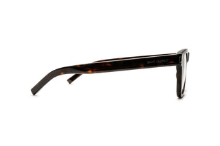 8100004140 Tortoise image-2