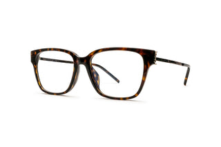 8100004160 Tortoise image-3