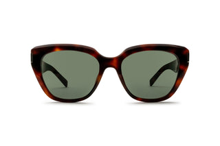 8100004230 Tortoise image-1