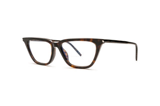8100004630 Tortoise image-3