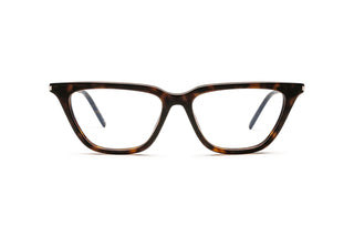 8100004630 Tortoise image-1
