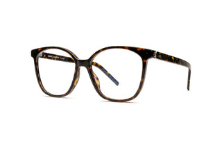 8100004670 Tortoise image-3