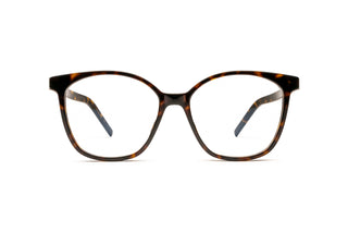 8100004670 Tortoise image-1