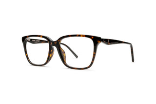 8100005150 Tortoise image-3