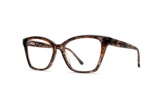 8170302440 Tortoise image-3