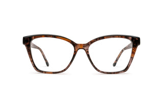 8170302440 Tortoise image-1