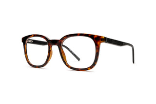 8470100950 Tortoise image-3