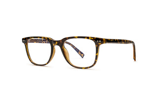 8500300780 Tortoise image-3
