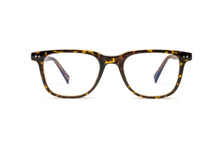 8500300780 Tortoise image-1