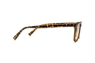 8500300780 Tortoise image-2