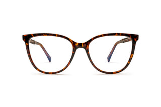 8500300820 Tortoise image-1