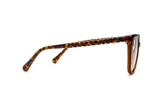8500300820 Tortoise image-2