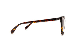 8840103150 Tortoise image-2