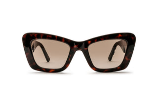 8840104200 Tortoise image-1
